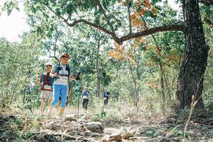 BIB: 
                            <button type="button" onclick="openModal(26096531)" class="btn btn-primary btn-sm float-right btn-popup" data-toggle="modal" data-target=".modal-high-quality">
                        <i class="fas fa-shopping-cart"></i> Add to Cart
                    </button>
                                            <button type="button" onclick="isThisMe(26096531, true)" class="btn btn-success btn-sm float-right btn-popup btn-isme hidden" data-toggle="tooltip" data-placement="bottom" title="นี่คือรูปของคุณใช่ไหม คลิกที่นี่เพื่อเอาเข้าอัลบั้ม">
                        <i class="fas fa-plus"></i> Add to album
                    </button>
                    <button type="button" onclick="isThisMe(26096531, false)" class="btn btn-warning btn-sm float-right btn-popup btn-isnotme hidden">
                        <i class="fas fa-ban"></i> Remove from album
                    </button>